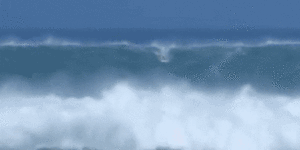 On-duty lifeguard wins Hawaiian event in 50-foot surf as wave sweeps baby under beach house