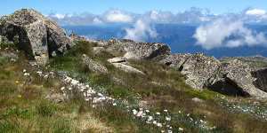 High season ... the magnificent view from the crest of Mount Kosciuszko.