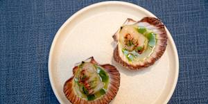 Scallop crudo with green juice and Korean chilli.