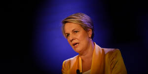 'Don't trash the Queen':Plibersek says republic campaign can't be driven by rage