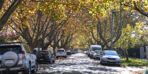 WA plan to mandate more trees,attractive streetscapes and better designed homes scrapped