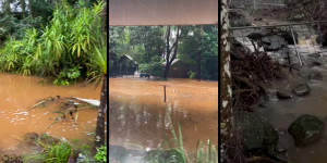 Byron Bay Wildlife Sanctuary flooded