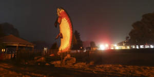 The Big Trout during the Black Summer bushfires in January 2020.