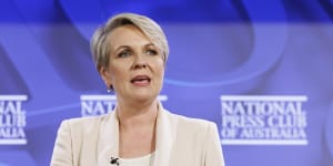 Plibersek has power to stop mega-projects of coal and gas