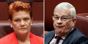 Pauline Hanson did not defame sexual harasser,court rules