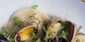 Lobster and halloumi ravioli with mussels in a rockpool of shellfish stock.