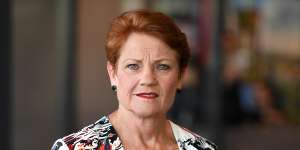 Pauline Hanson has spearheaded a legal challenge to the Queensland border restrictions.