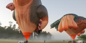 Patricia Piccinini’s new airborne sculpture “Skywhalepapa” (at left) prepares for lift-off alongside its companion,“Skywhale”.