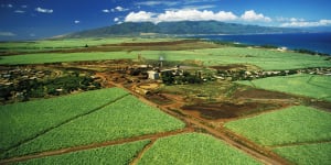 Cane fields and sugar mill at Paia Maui.