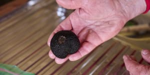 Plenty of kerfuffle about bumper truffle season