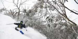 The Grollos are bullish on Mount Buller,despite the threat of less snow