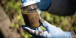 NSW parliament to hold ‘forever chemicals’ inquiry after drinking water contamination