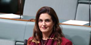 AEC investigation into Labor MP urged to probe new claims