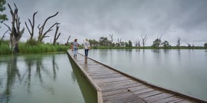 The boardwalk is the most popular of Banrock Station's walks,providing a glimpse into the wetland's vitality.