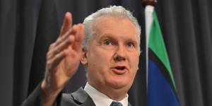 Workplace Minister Tony Burke addressing the media on Wednesday.