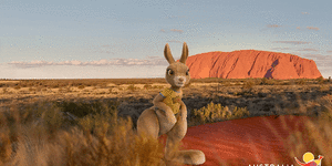 Ruby the kangaroo is a new Australian tourism ambassador.