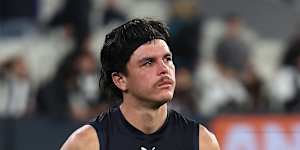 WorkSafe Victoria are investigating Carlton after an incident involving Elijah Hollands. 