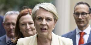 Environment Minister Tanya Plibersek has defended the government’s changes to immigration laws.