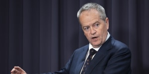 Shorten flags autism changes,says NDIS ‘can’t be surrogate school system’