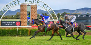 Mudgee Race Club has been rocked by the allegations.