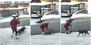 Still images from the CCTV footage that captures a horror dog attack in Dianella.