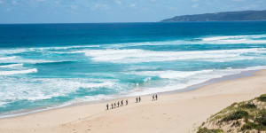 The 12 Apostles Lodge Walk:An alternate way to see the Great Ocean Road