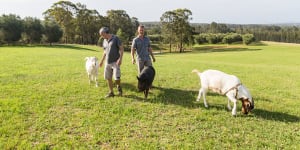 Who hasn't wanted to live Maggie Beer's life? These city slickers did