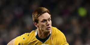 Back from the brink:Dane Haylett-Petty's try gave the Wallabies hope.
