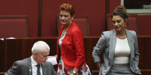 Pauline Hanson’s One Nation,the Greens,and minor party candidates such as Lidia Thorpe would be beneficiaries of any increase in the number of senators. 