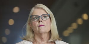 Home Affairs Minister Karen Andrews says the new laws are needed to deal with the escalating wave of cyber attacks on critical infrastructure.