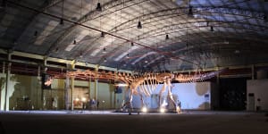 Qld exhibition features largest-ever dinosaur,a cousin to Aus heavyweight