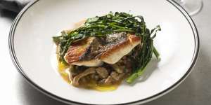 John Dory fillets with spaetzle,shellfish butter and cime di rapa.