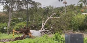 A Queensland community is once again in recovery mode after ex-tropical cyclone Kirrily took down power lines and uprooted trees in the state’s north-east.