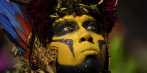 Carnival,Rio’s biggest party,makes urgent plea to save the Amazon
