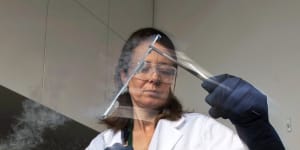 Manager of Conservation Science,Dr Justine O'Brien,in the Cryo lab at Taronga Zoo.
