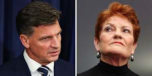 Opposition Leader Angus Taylor and One Nation leader Pauline Hanson.