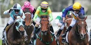 Race-by-race preview and tips for Goulburn on Monday