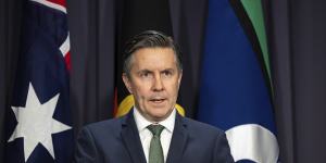 Health Minister Mark Butler has directed his department to “run the ruler over the remaining projects that have stalled”.