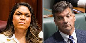 Frustrations:Jacinta Nampijinpa Price and Angus Taylor.