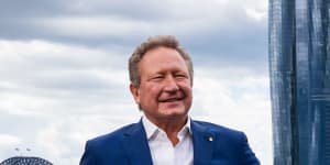 Andrew Forrest,one of the country’s most prominent businessman,is taking on a social media giant.
