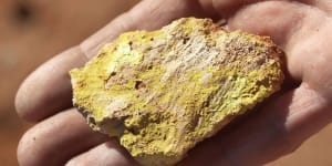 Marmota set to ride uranium wave