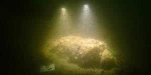 A photograph,taken by marine archaeologists in Newport Harbour,of the remains of what is believed to be the Endeavour