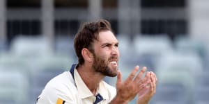 Maxwell reveals Australian Test squad's despair