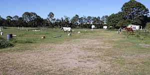 The 55,600-square-metre block in Hendra,which is known to flood,is approved for development of 66 new houses.