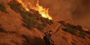 A firefighter battles the Palisades Fire in Mandeville Canyon Saturday,Jan. 11,2025,in Los Angeles. (AP Photo/Jae C. Hong)