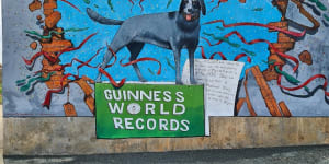The mural in Rochester honouring the life of Bluey,the one-time world record holder as the oldest living dog.