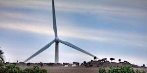 Emissions from the electricity sector fell in 2025,as renewables displace coal and gas. 