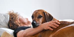 Many dog owners share their sleep space with their pet. 