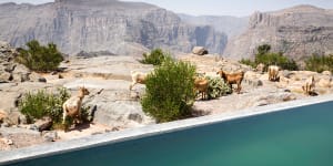 The Anantara al Jabal al Akhdar Resort,Oman,review:Luxury fit for a princess