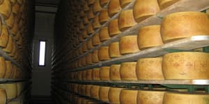 Italian cheese maker,72,crushed to death under mountain of cheese